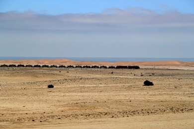 Güterzug in Namibia