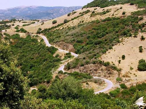 Kurvenparadies Sardinien