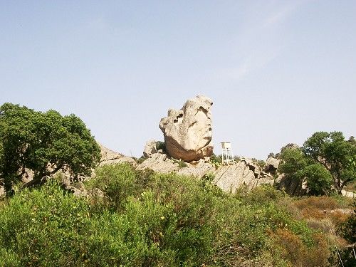 Schildkr&ouml;tenkopf