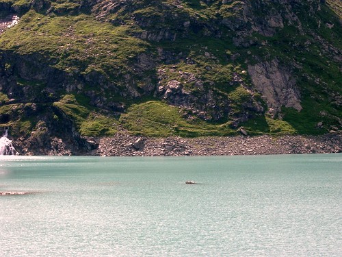 Spl�gen Pass mit See